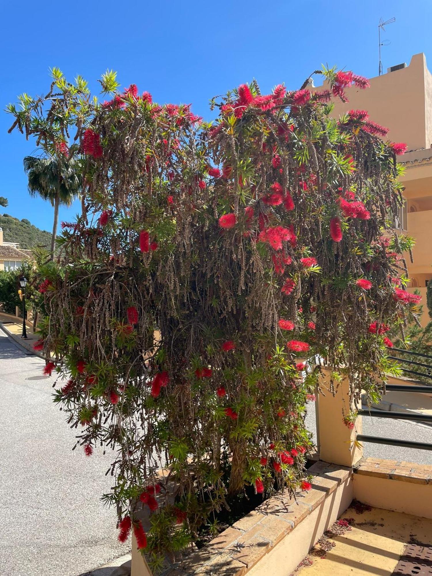 Santa Maria Village, Elviria, Marbella Buitenkant foto